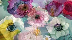 Flower Essence